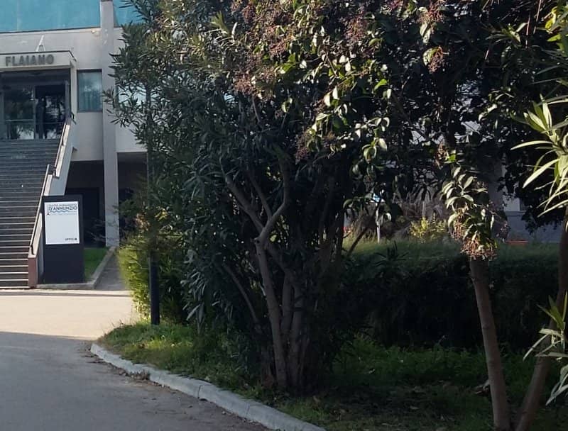 Premi Flaiano Ceremony