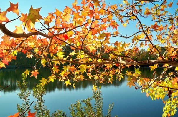 Diverse Hiking Trails