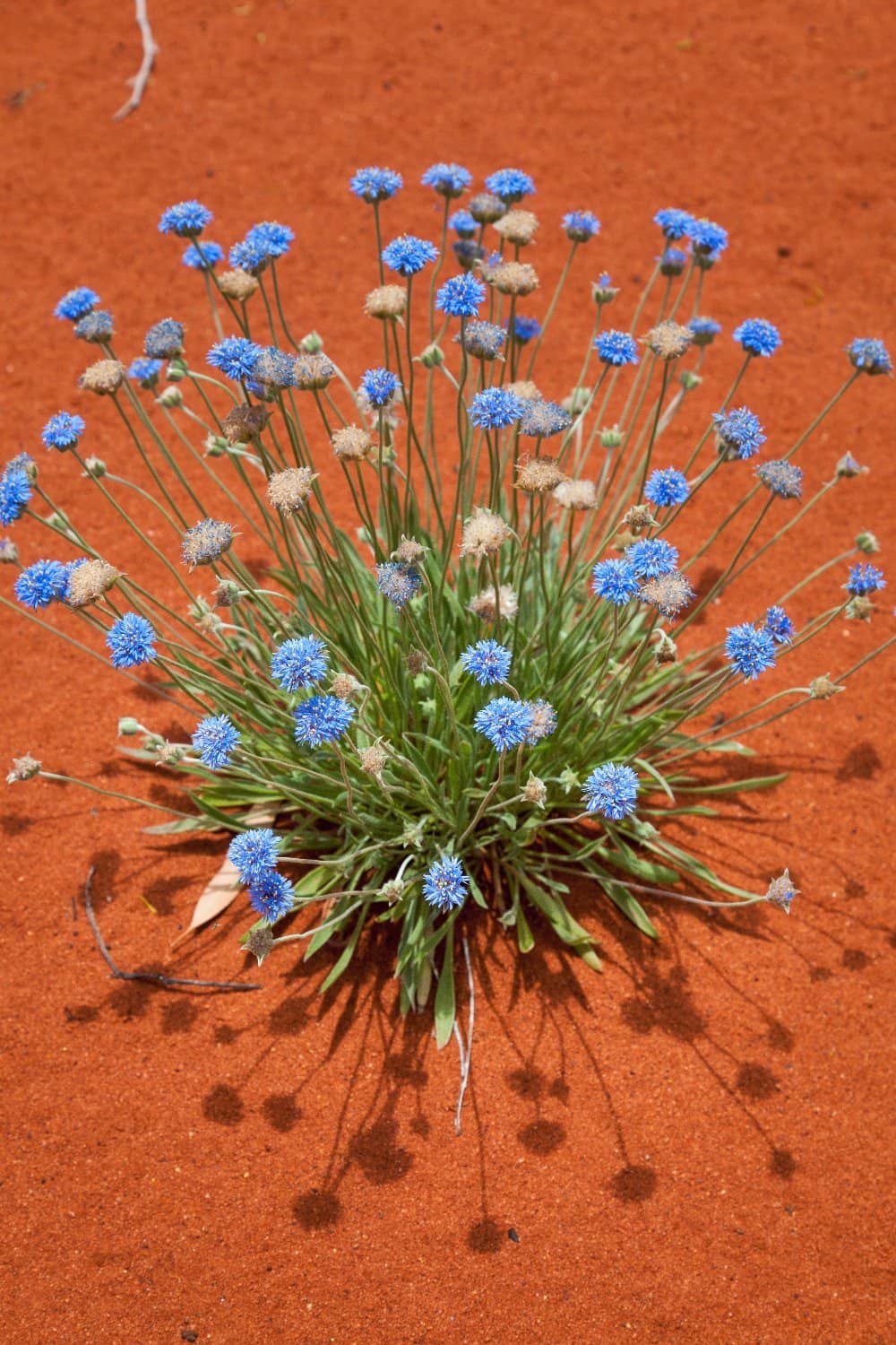 Paper Making Workshop