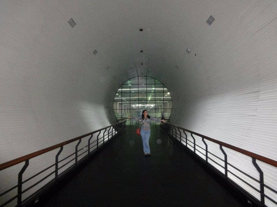 Diverse Art Exhibitions