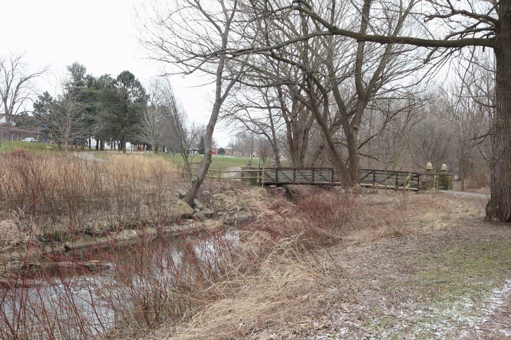 Exciting Playground Slides