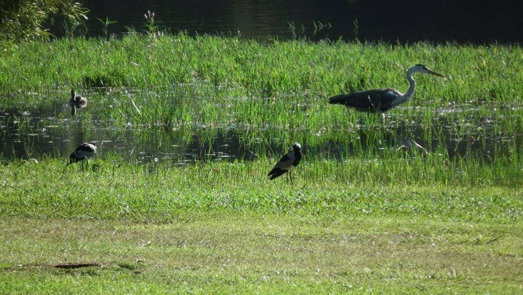 Peaceful Walking Paths