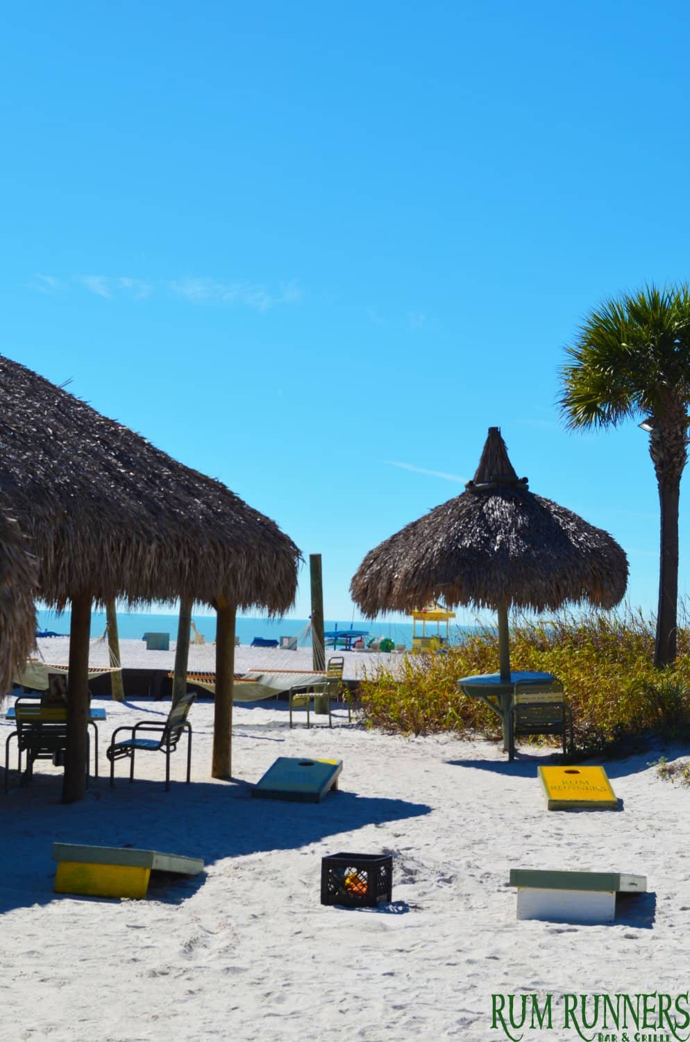 Delectable Beach Bites & Tropical Drinks