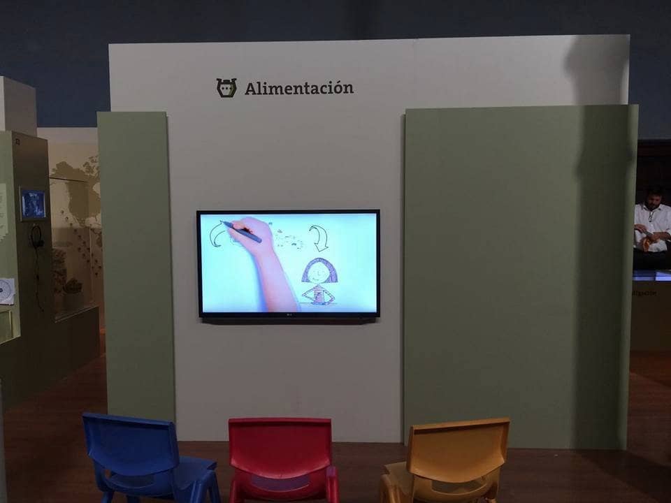 Pre-Columbian Artifacts