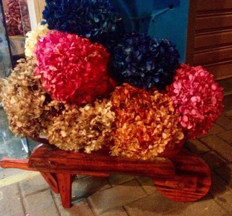 Local Culture & Identity