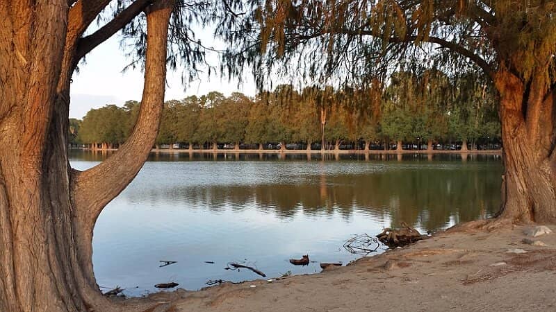 Fletcher Street Urban Riding Club