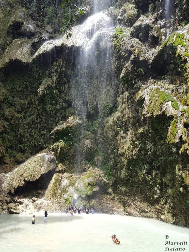 Lush Jungle Surroundings