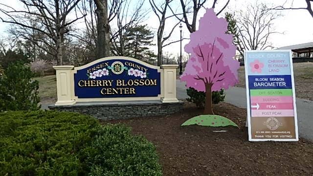 Historic Olmsted Design