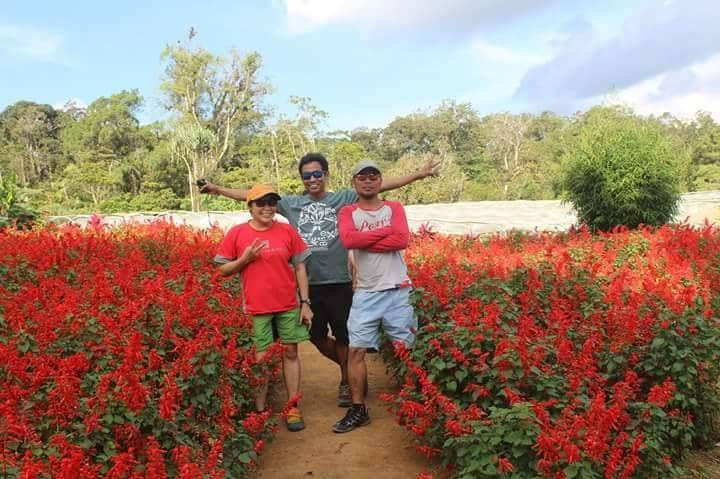 Strawberry Taho & Native Coffee