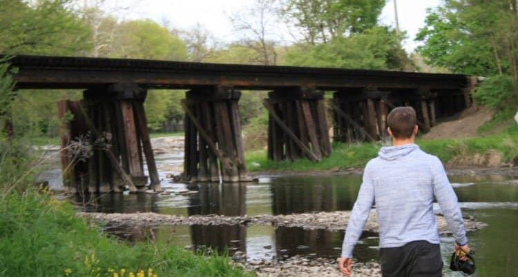 The Arboretum Gardens