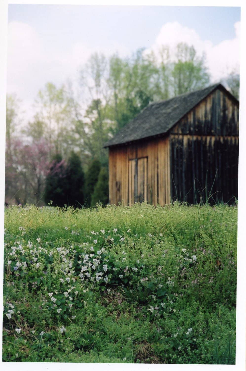 Bethabara Greenway Trails