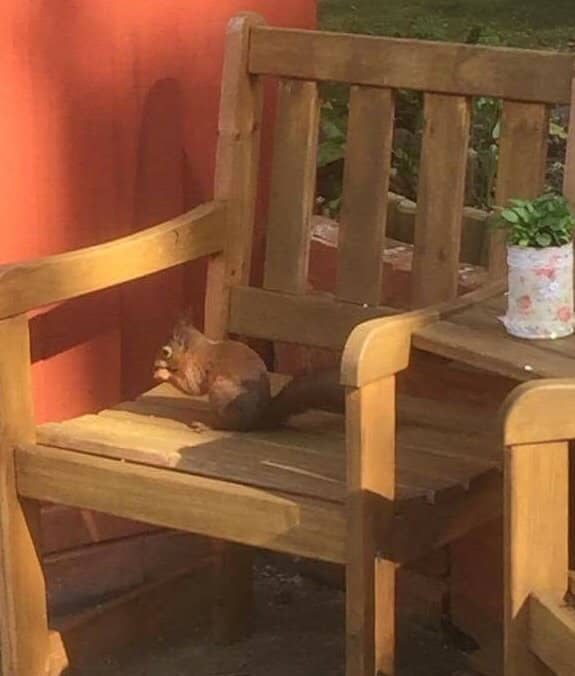 Charming Tea Gardens Cafe