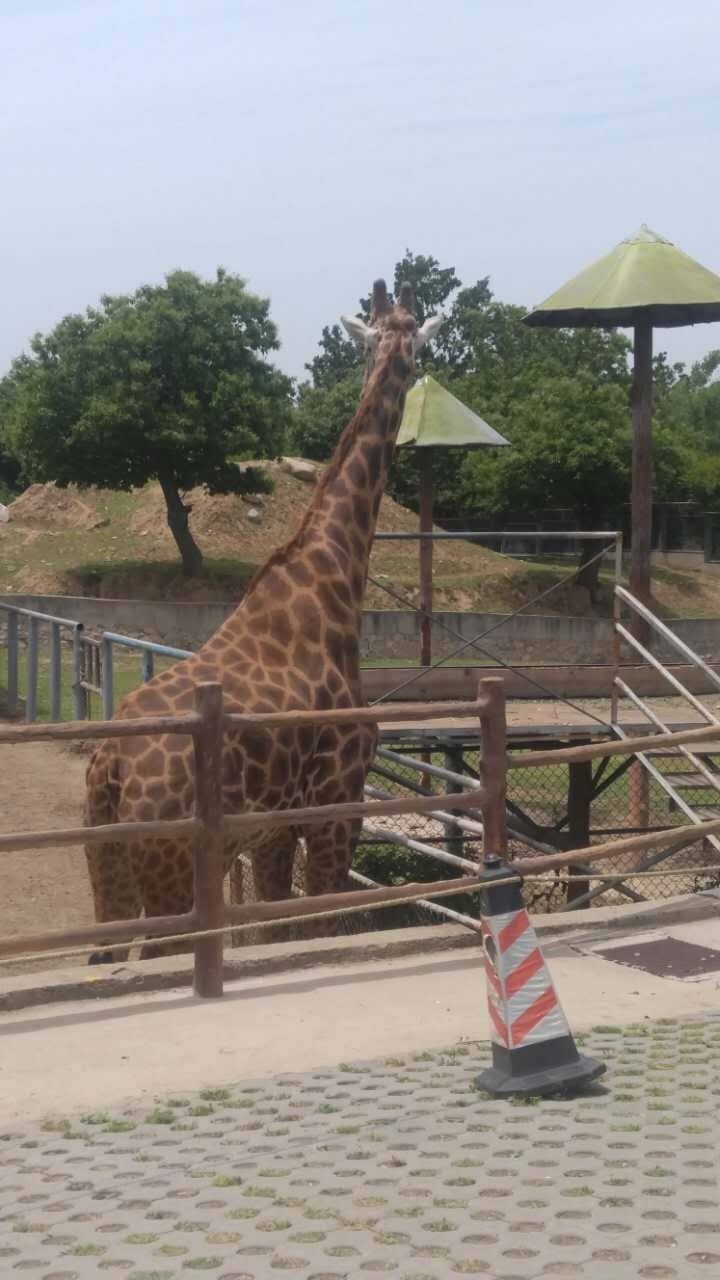 Games Park & Other Attractions