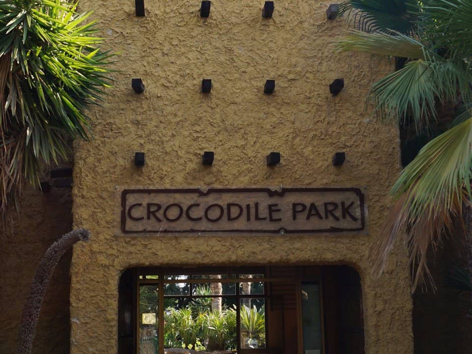 Diverse Reptile Collection