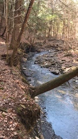 Scenic Trail Network