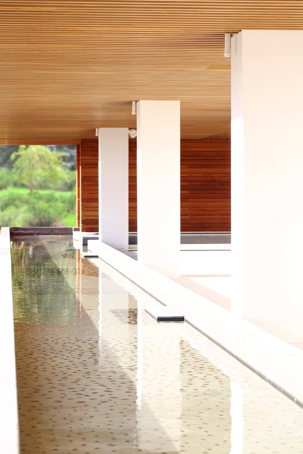 Aromatic Saunas & Thermal Baths