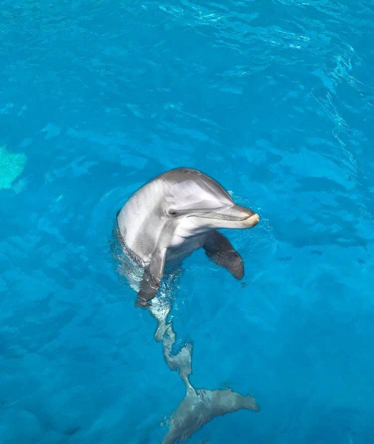 Tropical Gardens & Exhibits