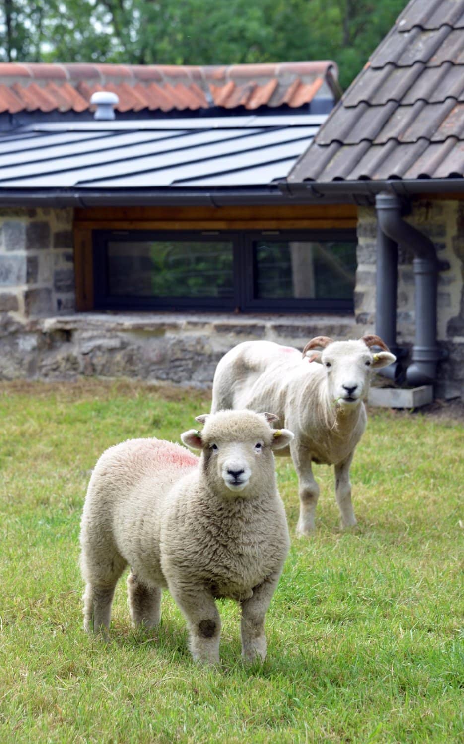 19th-Century Farmhouse