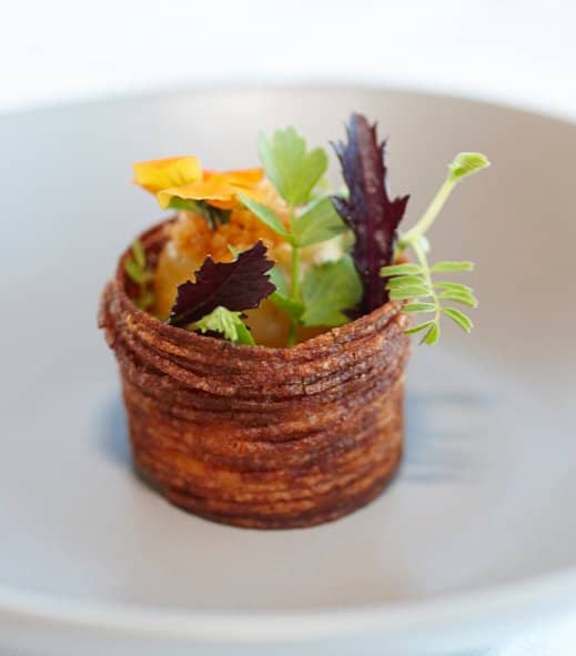 Expansive Vineyard Grounds