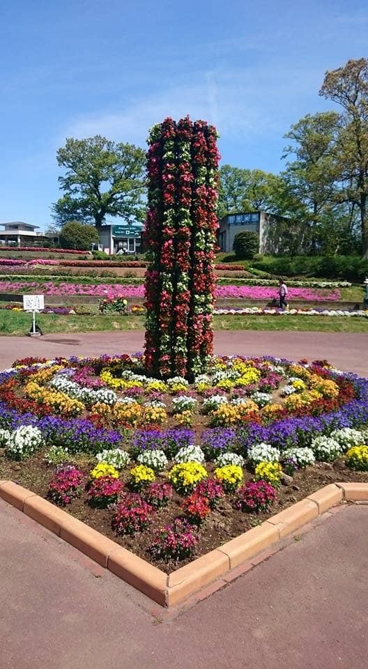 Kinetic Art Installations