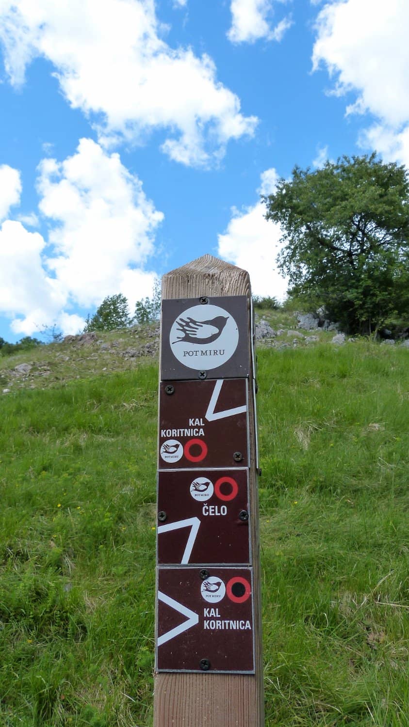 Panoramic Bovec Basin Views