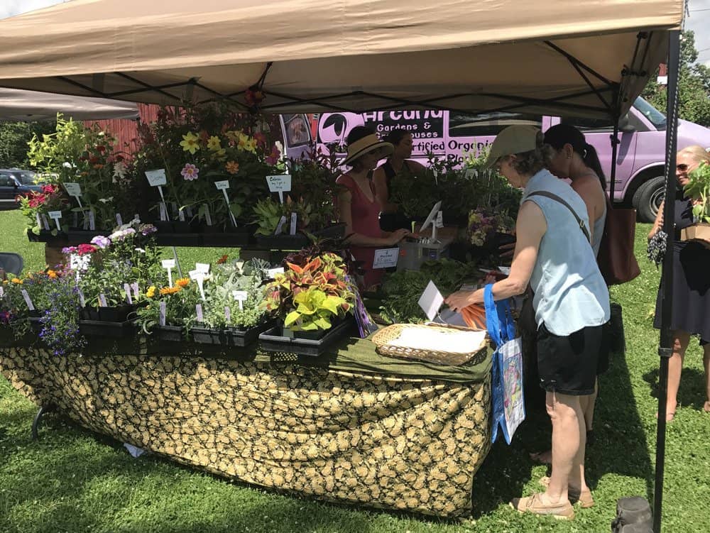 Local Produce & Artisanal Goods