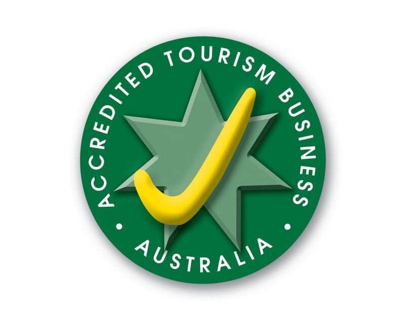 Interactive Museum Galleries