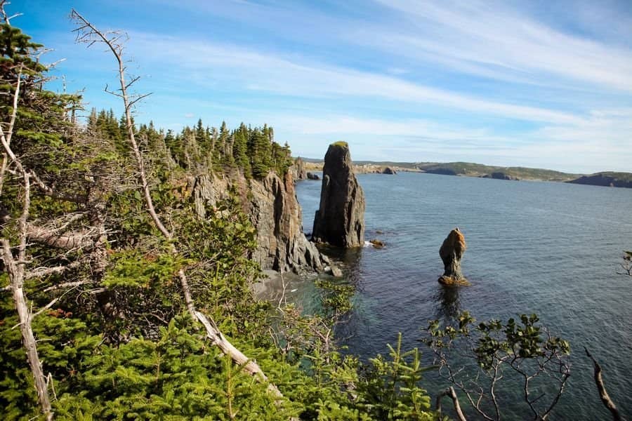 Sweeping Trinity Bay Vistas
