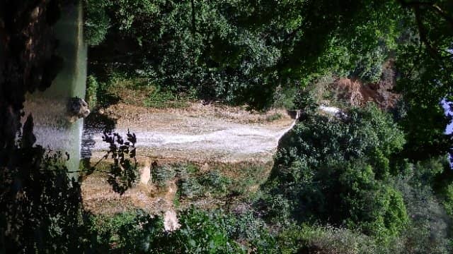 Natural Spring Landscape