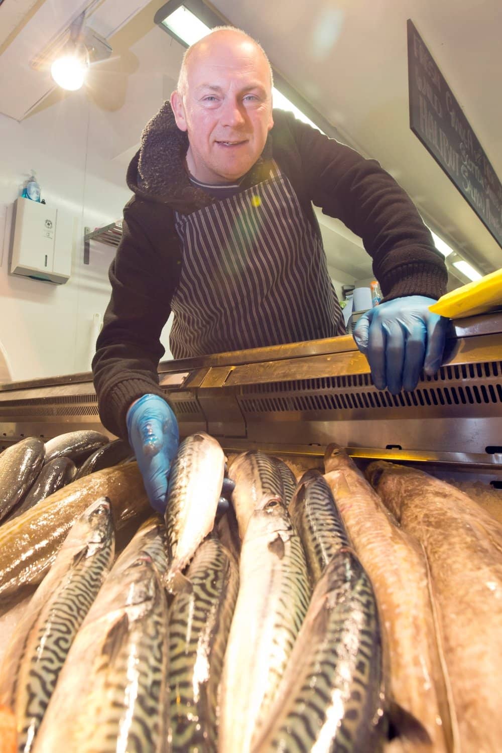 The Dumpling and Bun