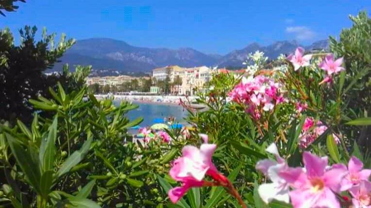 Convenient Amenities