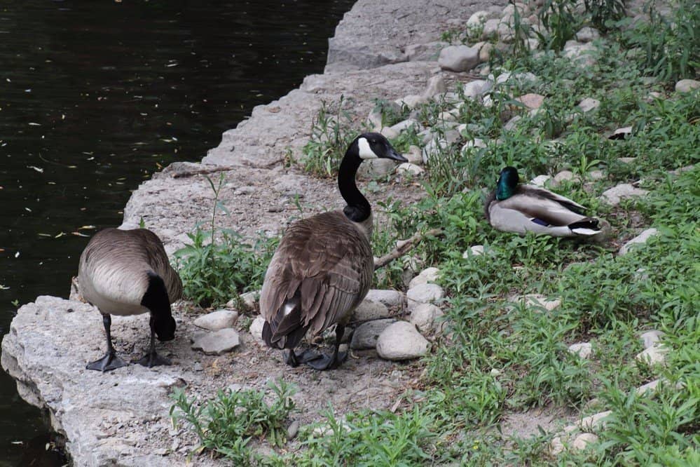 Nature Trails & Ponds