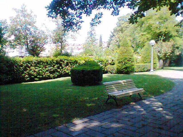 Surrounding Gardens