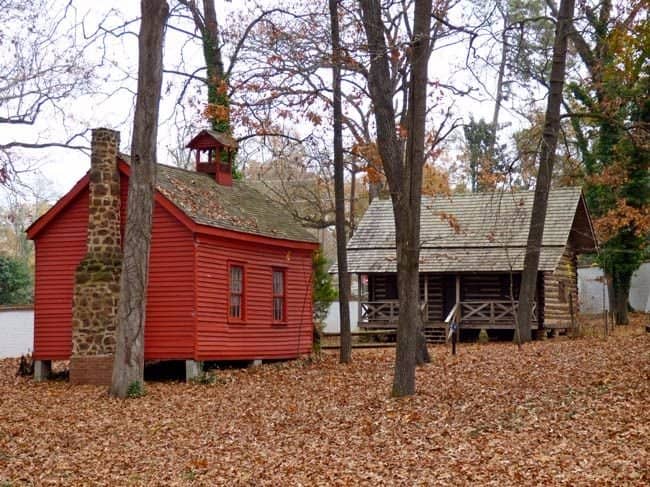 Winter Colony History