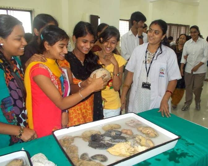 Real Human Brain Specimens