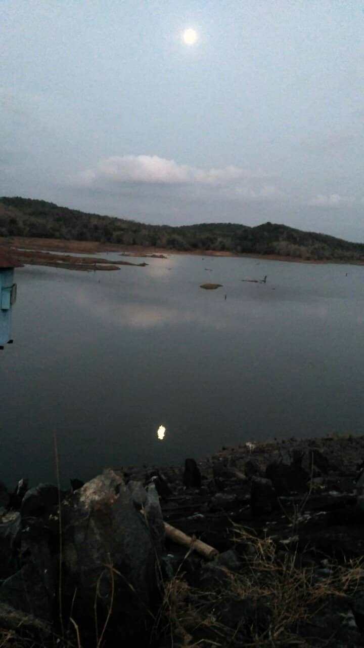 Peaceful Evening Ambiance