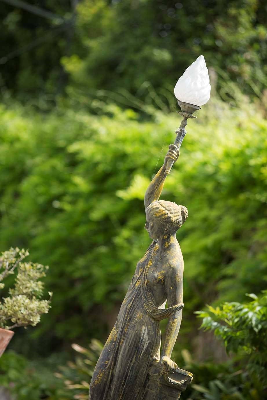 Gourmet Lunch Experience