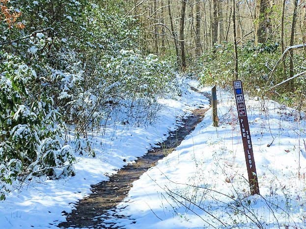 Greens Lick Downhill