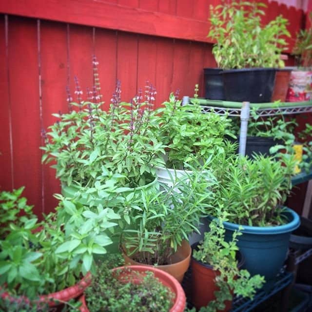 The Original Dancer Sandwich