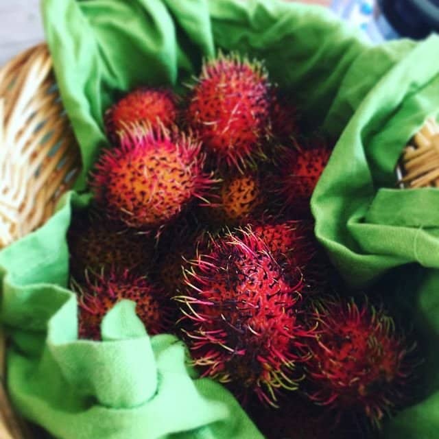 Vibrant Hippie Atmosphere