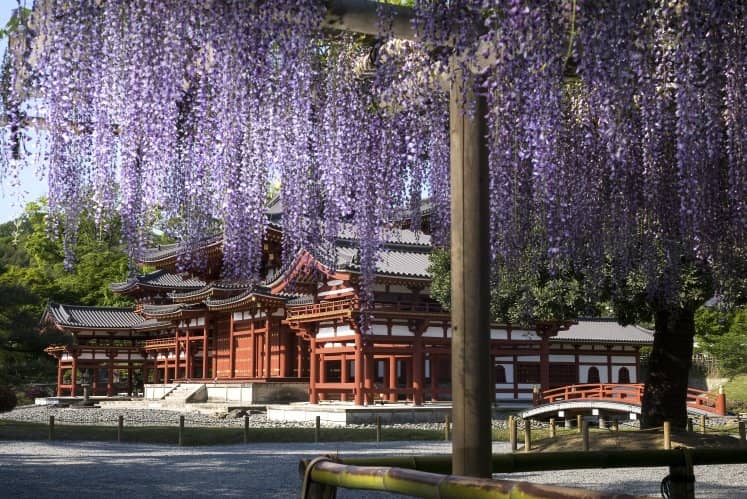 Byodo-in Omotesando