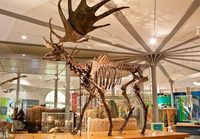 David Bowie 50th Anniversary