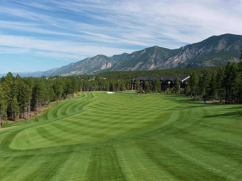 Immaculate Course Conditions