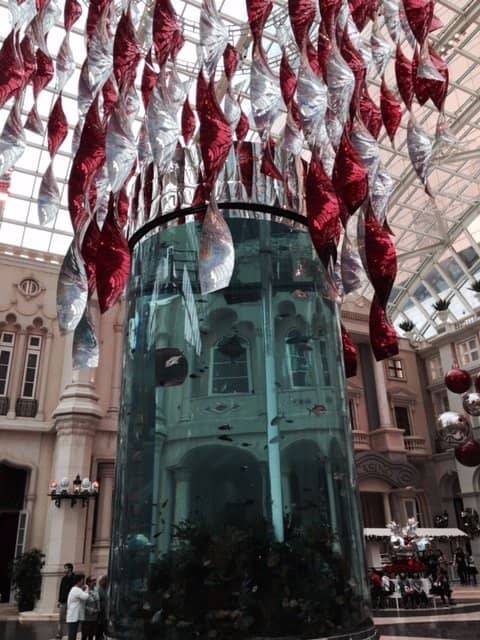 Futuristic Robot Shows