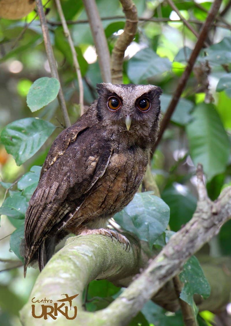 Conservation Education