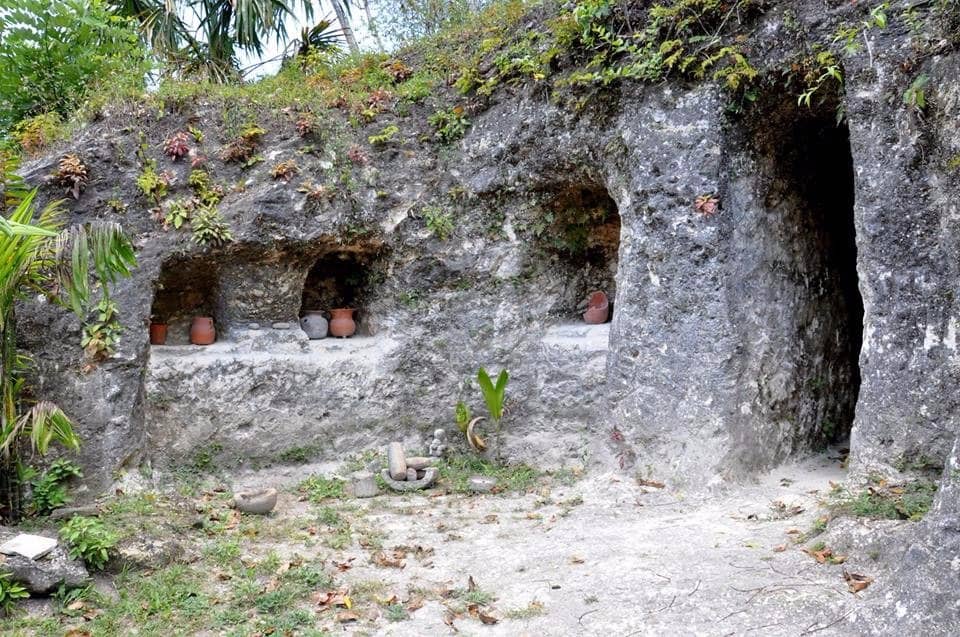 Observation Tower Views