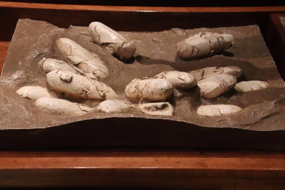 Interactive Mining Exhibit