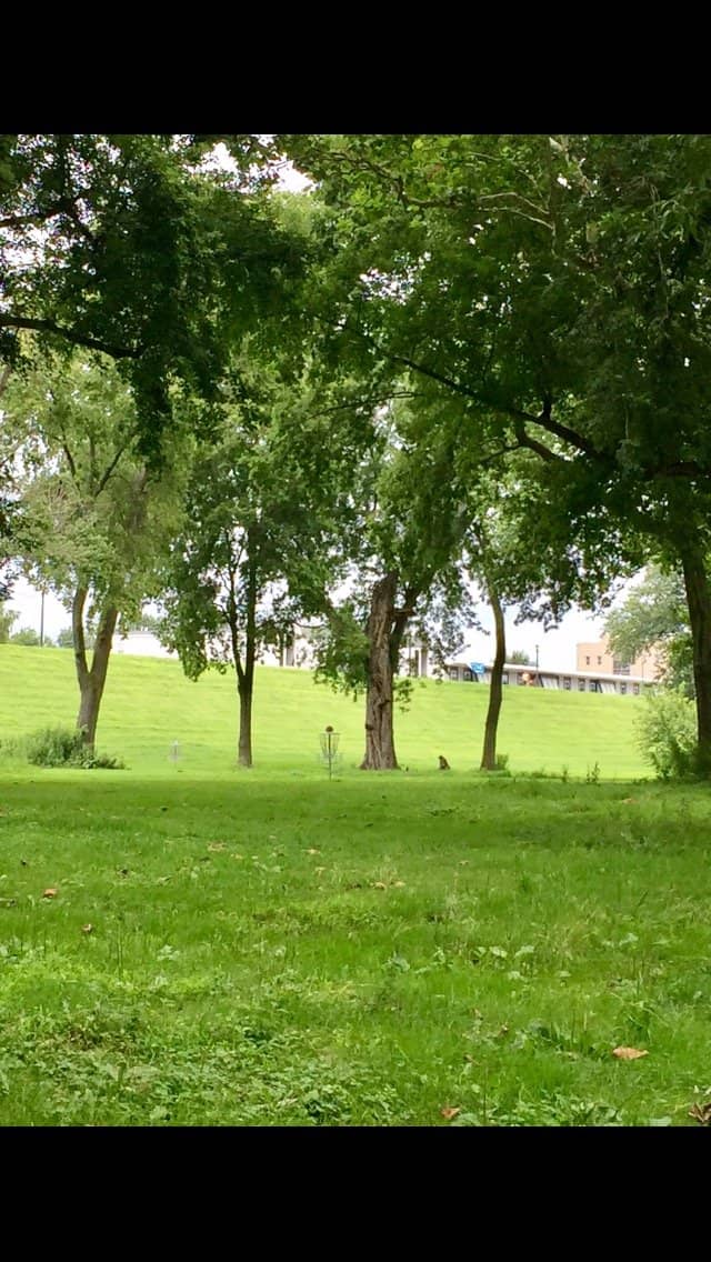 Playgrounds & Skatepark