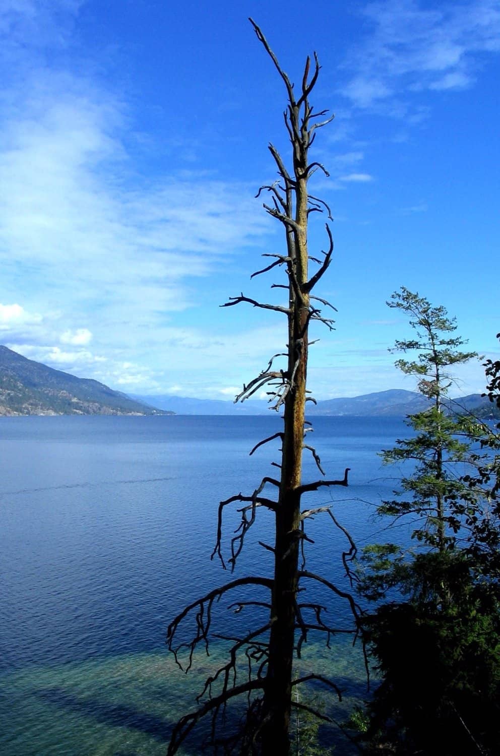 Privacy in North Campground