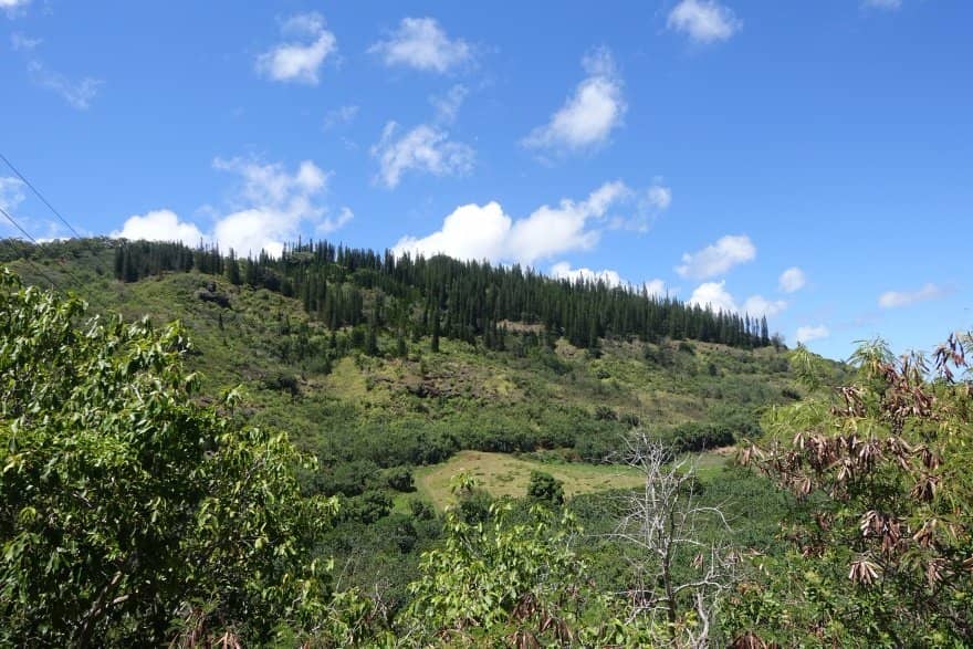 Wailua Heritage Trail